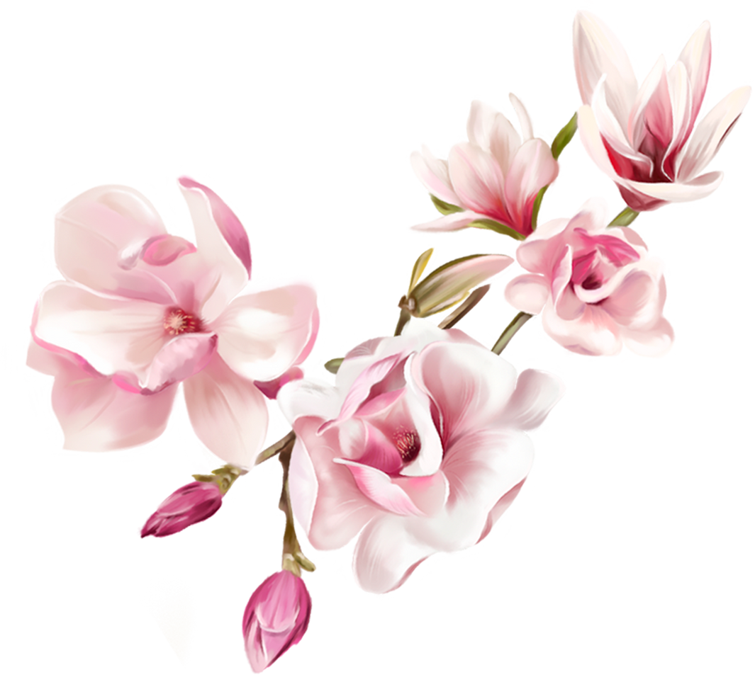 Magnolia watercolor flowers. Pink flowers wedding 
bouquet